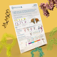 Serena Arghittu’s awarded poster