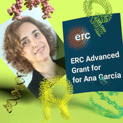 ERC Advanced Grant announcement for Ana García, with colorful molecular graphics in the background.